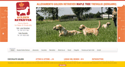 Desktop Screenshot of mapletree.it